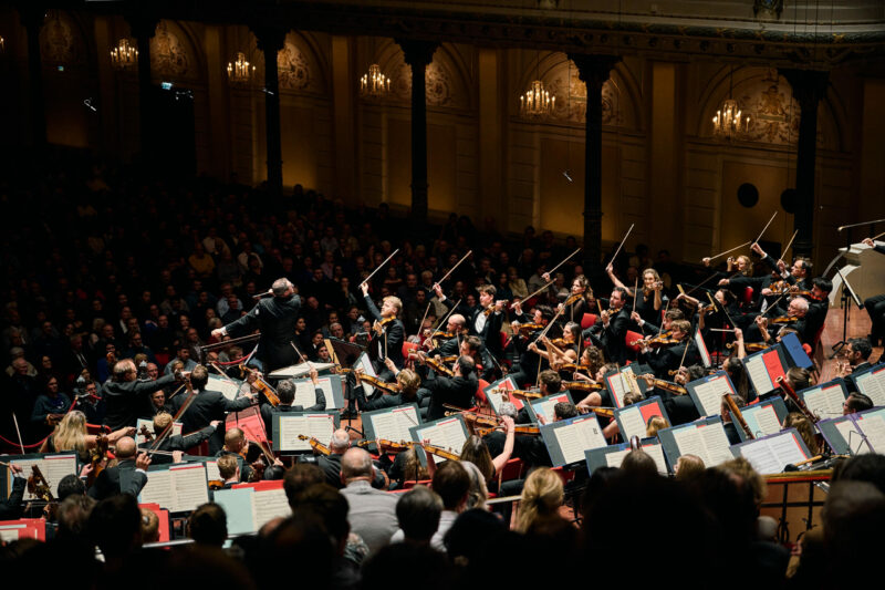 “Wow wow wow!”                                                                     A triumph at the Concertgebouw